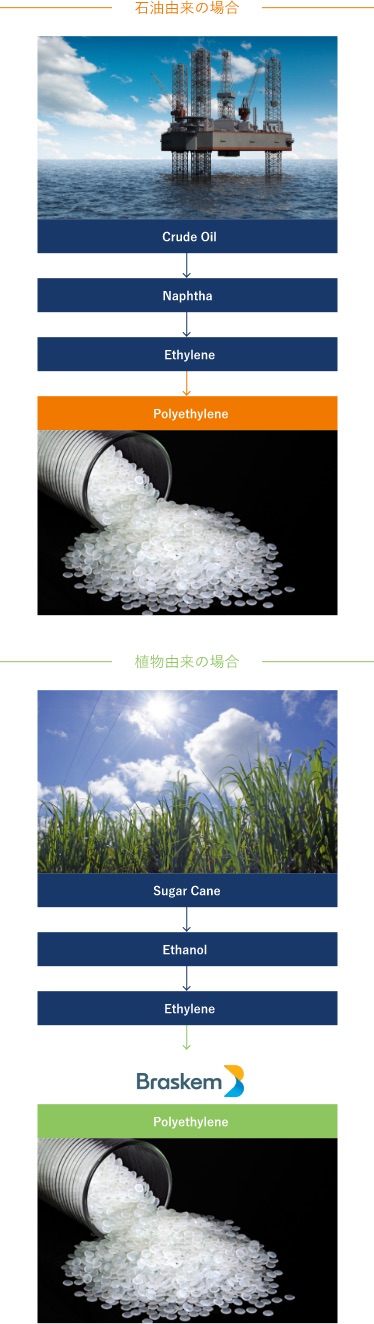 石化由来と植物由来ポリエチレンの製造工程の比較
